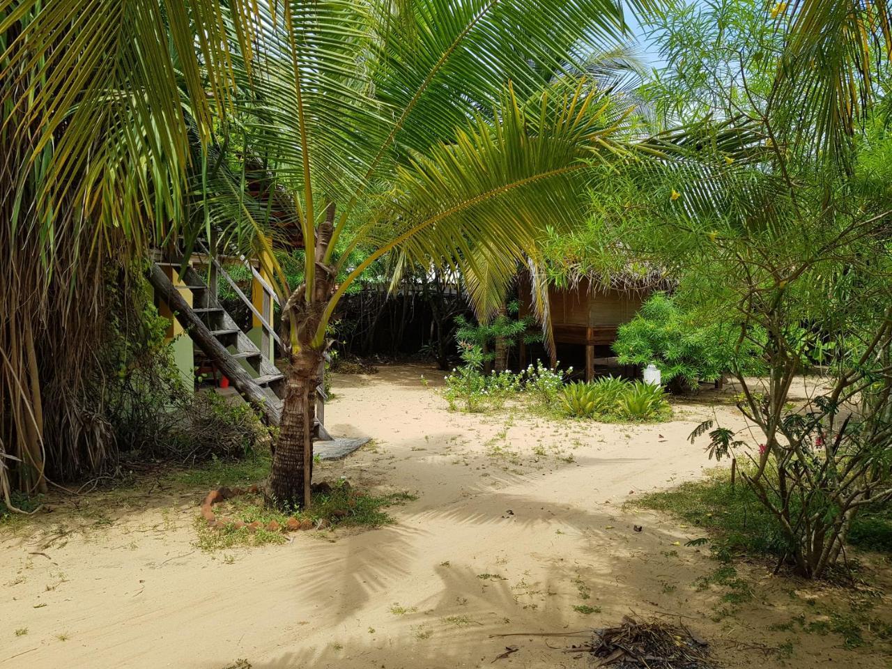 Albero Cabanas Arugam Bay Buitenkant foto