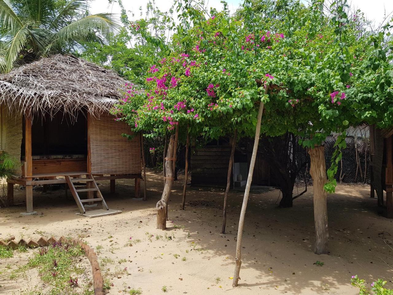 Albero Cabanas Arugam Bay Buitenkant foto