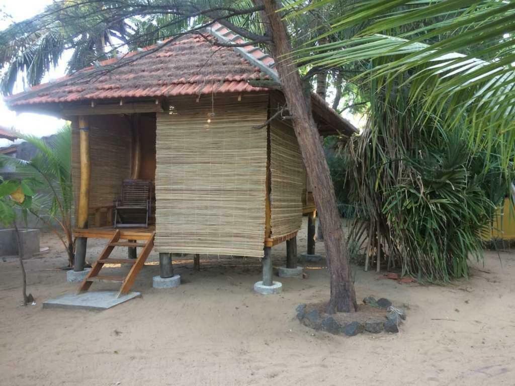 Albero Cabanas Arugam Bay Kamer foto